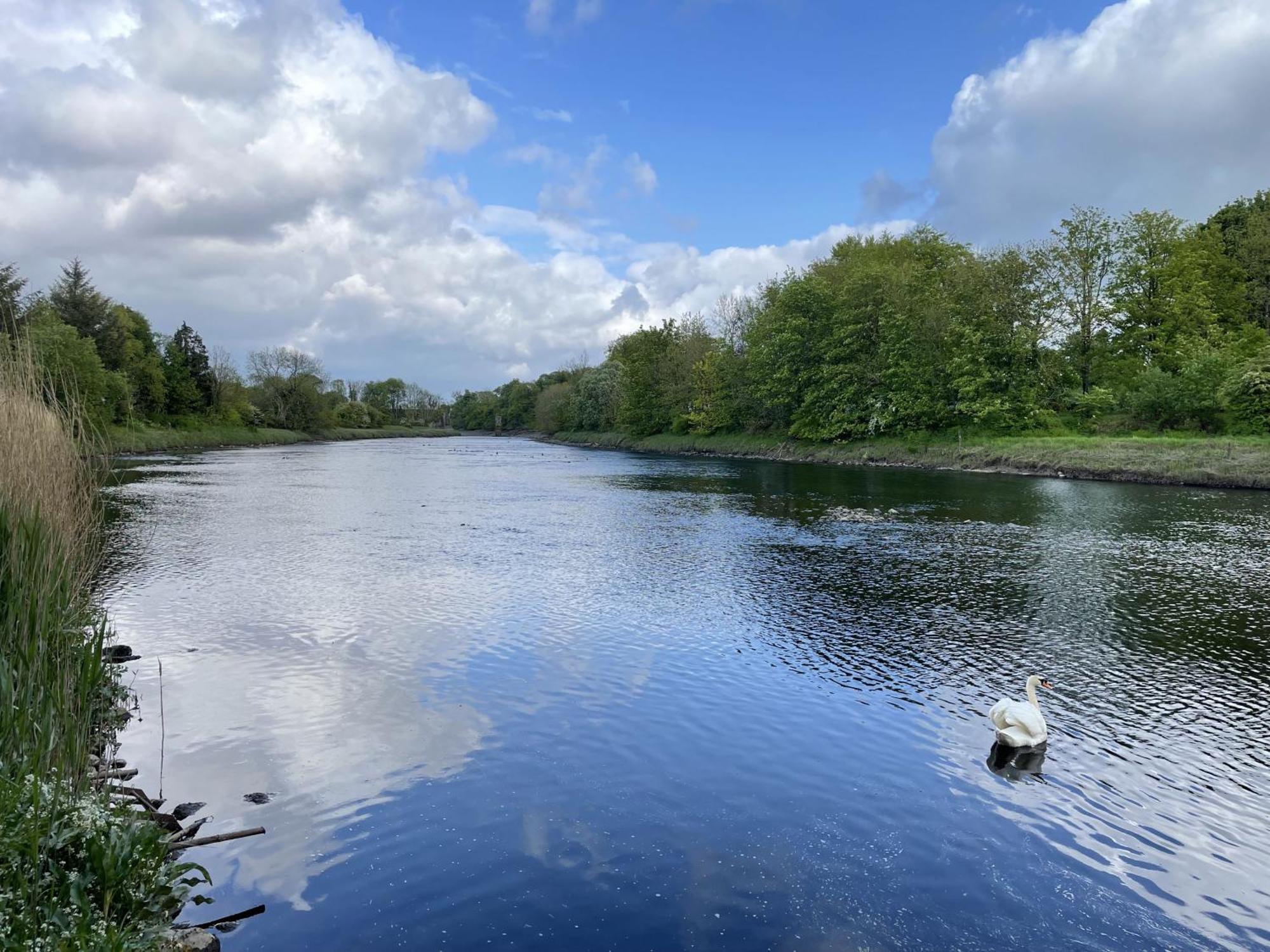 Apple Cottage Newton Stewart Εξωτερικό φωτογραφία