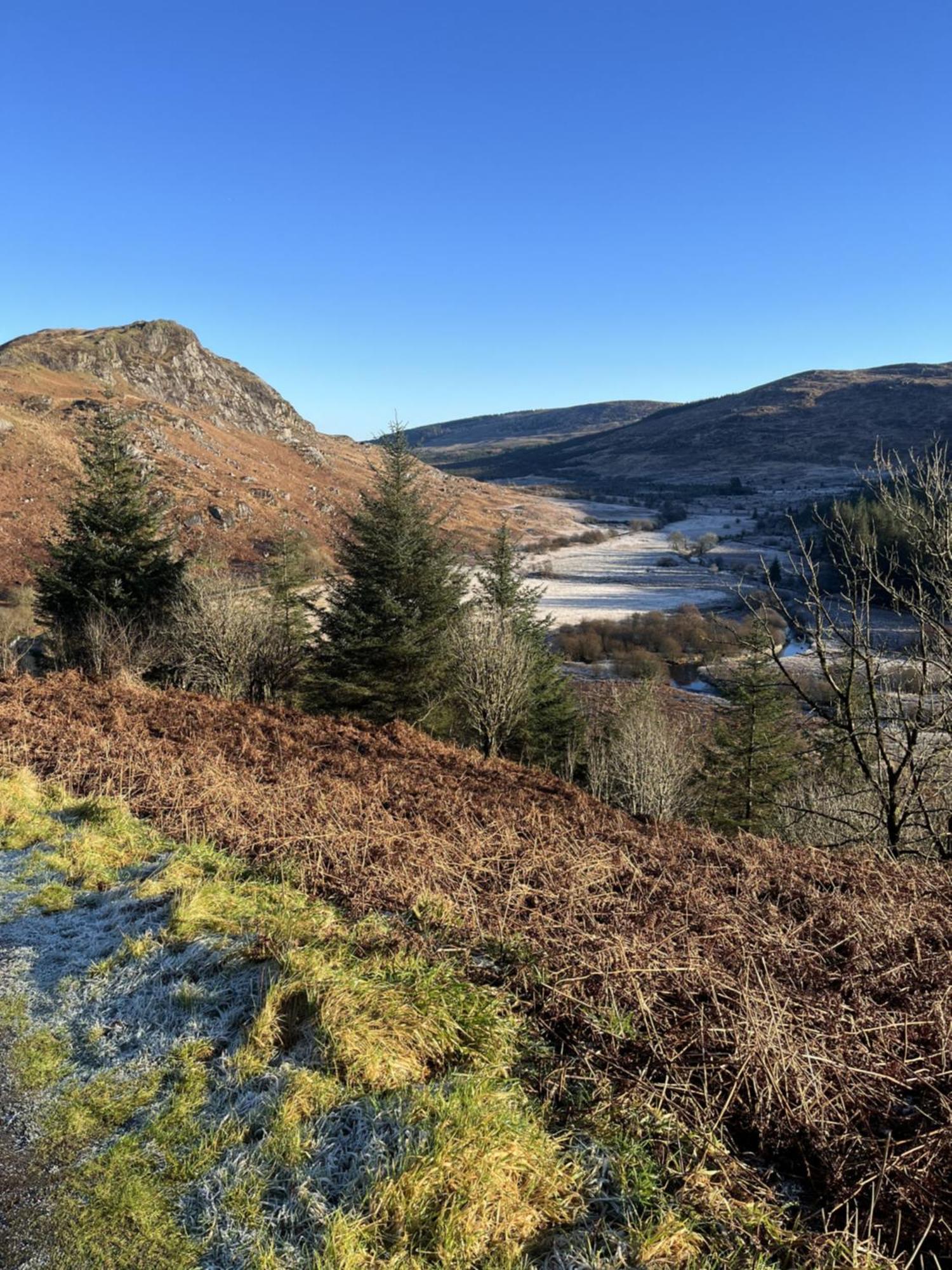 Apple Cottage Newton Stewart Εξωτερικό φωτογραφία